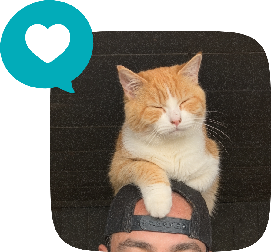 Cat on Head mascot